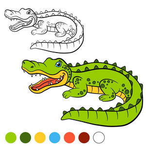 着色页。 给我颜色鳄鱼。 小可爱的鳄鱼。