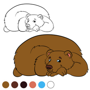 着色页。 给我颜色熊。 可爱的棕色熊。