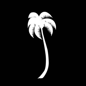 在黑色背景上隔离的棕榈树图标的矢量白色剪影插图