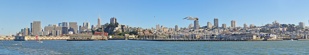 旧金山城市和海湾的天际线全景
