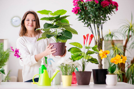 植物在家里照顾的年轻女人