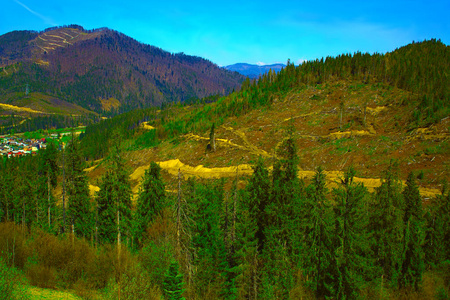 orest 和山, 在山坡上砍伐森林, 生态危害