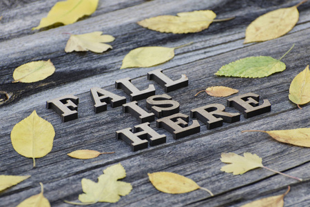 题字。秋天就在这里在木制字母。框架的黄叶，木质的背景