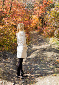 孤独的女人，在明亮的秋天的树林后视图