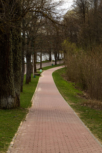 春季公园蜿蜒的道路