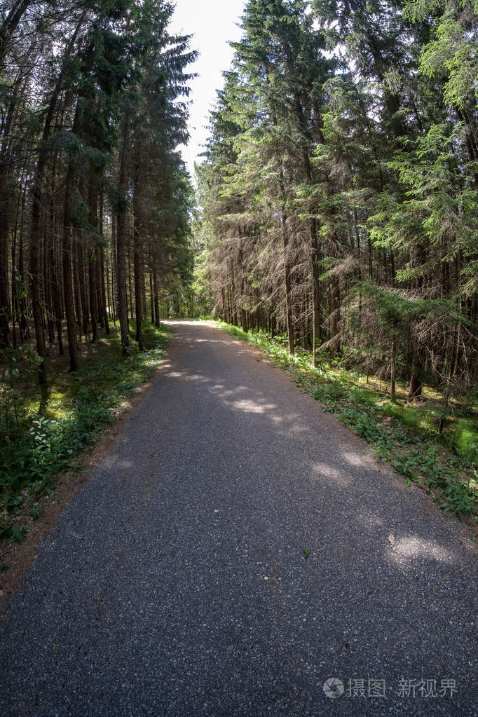 乡下的乡村小石子路, 四周绿树成荫, 天空乌云密布.