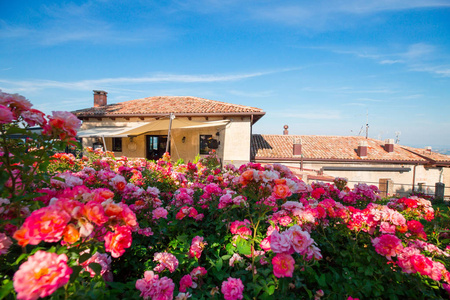 阳光明媚的圣马力诺城市景观。旧楼背景五颜六色的红花