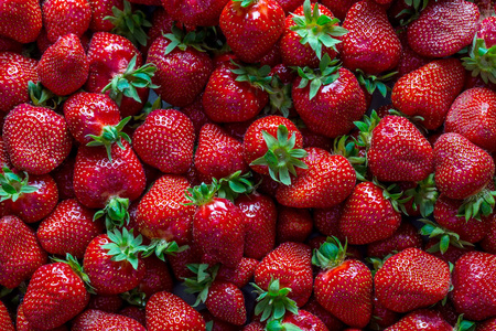 草莓。红色的草莓。在不同位置的新鲜收获的草莓