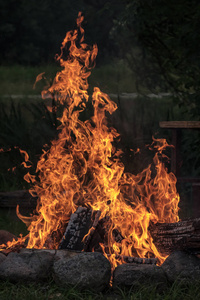 森林在壁炉里燃烧, 温暖, 炎热, 黑暗中的火焰。夏季自然露营
