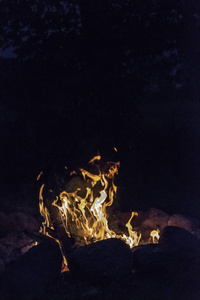 森林在壁炉里燃烧, 温暖, 炎热, 黑暗中的火焰。夏季自然露营