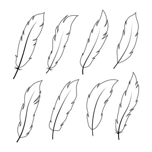 羽毛矢量轮廓集图片-羽毛矢量轮廓集素材-羽毛矢量轮廓集插画-摄图新