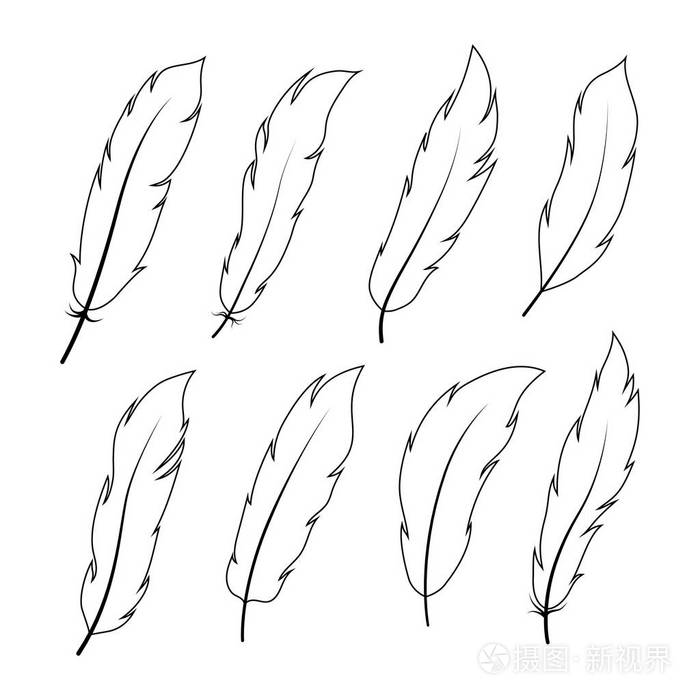 鸟的羽毛怎么画简笔画图片