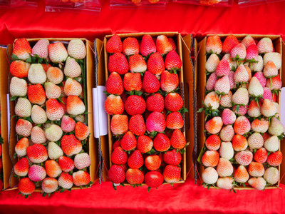 泰国清迈山上的一个盒子里放着草莓照片