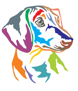 狗腊肠的彩色装饰肖像, 不同颜色的矢量插图在白色背景下分离