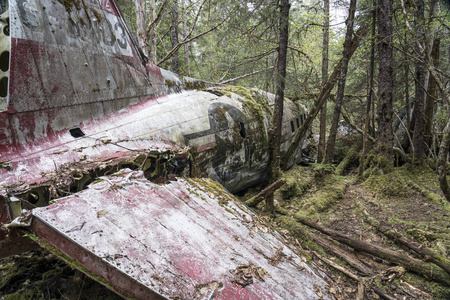 动画飞机坠毁1957年古斯塔夫阿拉斯加附近森林坠毁的一架 c-47 飞机