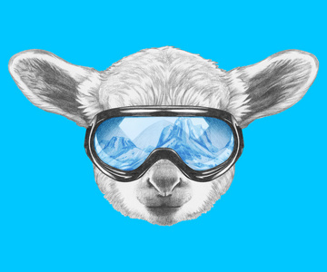 羔羊与滑雪护目镜的肖像