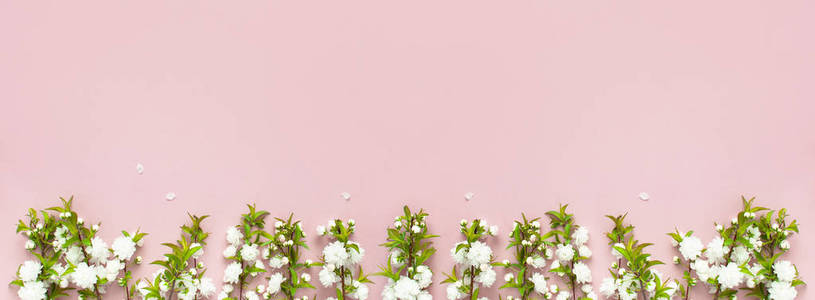 美丽柔和的春天小枝与白色花在粉红色背景顶部看法平放置与空间为文本。精美鲜花贺卡