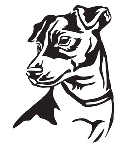狗杰克罗素梗的装饰肖像, 在白色背景的黑色颜色的矢量孤立插图