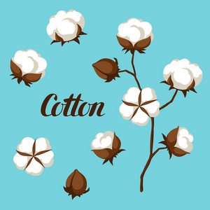 棉花的分支图片-棉花的分支素材-棉花的分支插画-摄图新视界