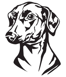 狗德国短毛猎犬的装饰肖像, 白色背景上的黑色的矢量孤立插图