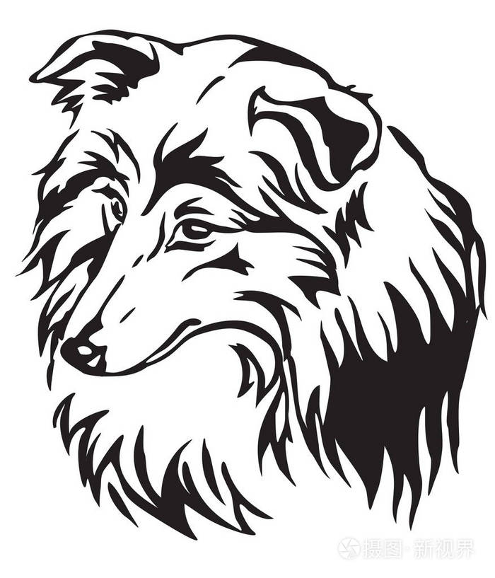 狗兰牧羊犬的装饰肖像 白色背景上黑色的矢量孤立插图插画 正版商用图片0r5g 摄图新视界 狗兰牧羊犬的装饰肖像 白色背景上黑色的矢量孤立插图插画 正版商用图片0r5g 摄图新视界