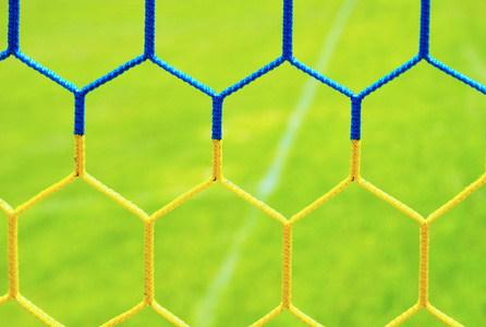 黄色蓝色交叉足球网与草地的细节