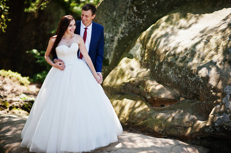 可爱的婚礼夫妇在惊人的景观与岩石 Dovbush，C