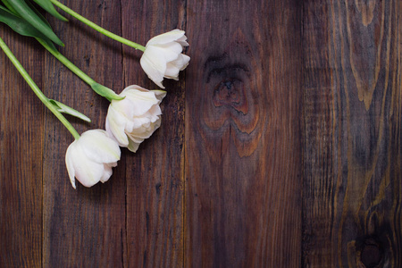 老木桌上的白色郁金香