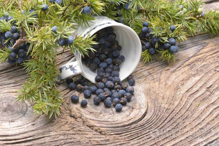 杜松浆果老式木制背景