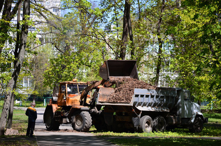 市改善团队移除落叶在公园与挖掘机和一辆卡车。关于提高娱乐公共场所定期季节性工作