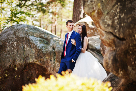 可爱的婚礼夫妇在惊人的景观与岩石 Dovbush，C
