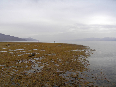 达哈卜，埃及红海