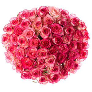 粉红色玫瑰花束, 圆