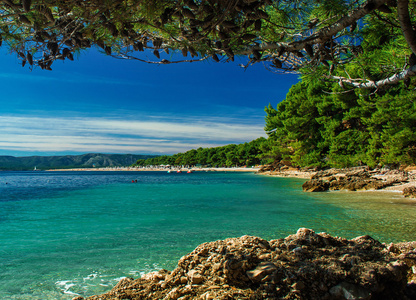 尖角大鼠海滩上岛 Brac，克罗地亚自然框架的松树和岩石中美丽的景色