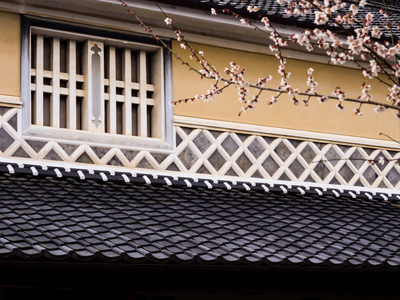 传统日本房子与樱花