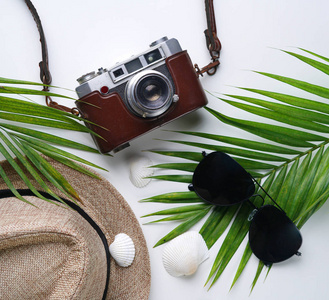 太阳镜, 软呢帽帽子, 棕榈叶, 海贝壳和老式相机。平躺旅游假期假期背景