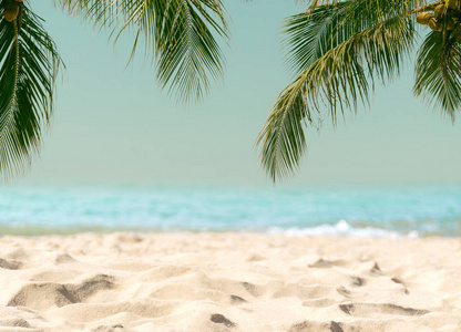 棕榈树椰子海滩海天夏天的节日复古色调