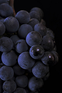 密切起来，孤立在黑色背景上的成熟黑葡萄浆果
