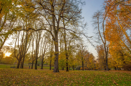 意大利米兰森皮奥公园秋季图片