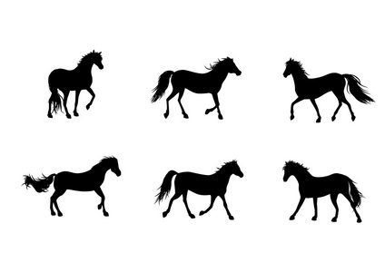 六匹马的轮廓
