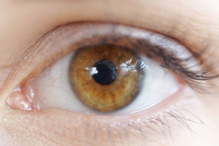 棕色的眼睛的女人照片