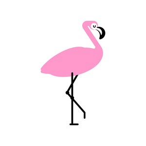 粉红色的火烈鸟孤立。长腿的鸟。矢量图案