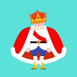 王子嘉年华小王子被孤立了.在皇冠上的男孩.皇室的儿子矢量图案照片