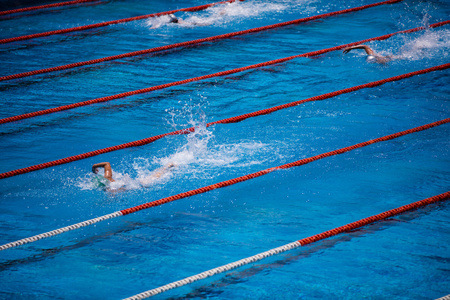 奥林匹克游泳池游泳爬行比赛