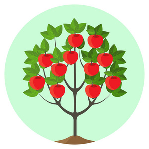 树上苹果与圆形按钮成熟水果矢量图
