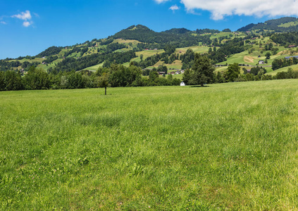 从 Schwyz 的瑞士小行政区 Seewen 村的夏日景色来看, 这幅画是在琼的末尾拍摄的。
