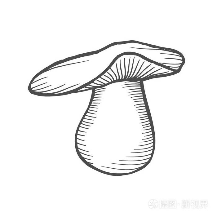 白木耳, 雕刻手工画插图