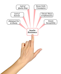 胰岛素抵抗的原因