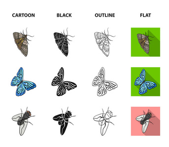节肢动物昆虫甲虫, 蛾, 蝴蝶, 飞。昆虫集合图标在卡通, 黑色, 轮廓, 平面风格矢量符号股票等距插图网