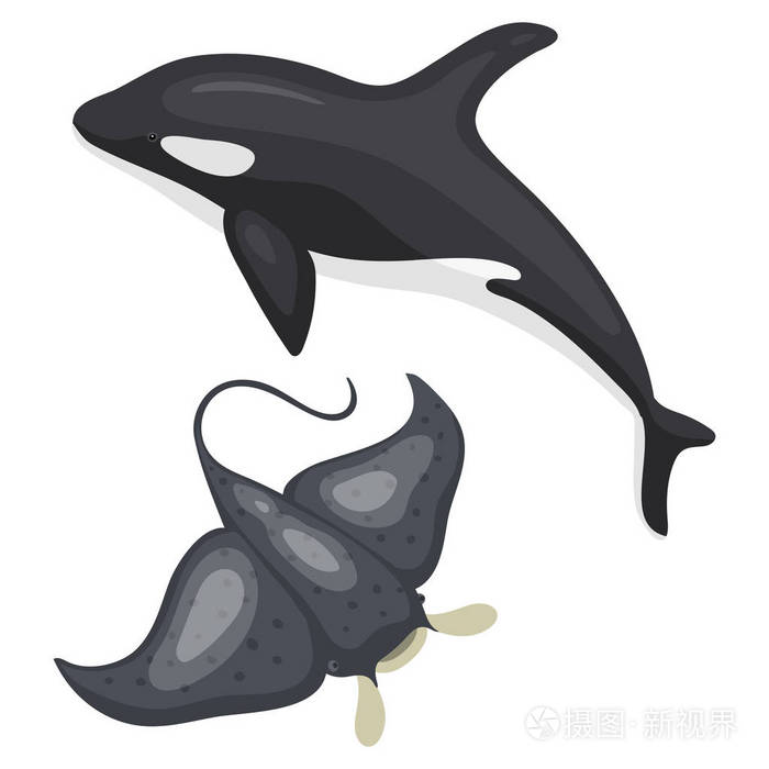 黄貂鱼水族生活游泳野生鱼水下热带海洋动物矢量图插画-正版商用图片0